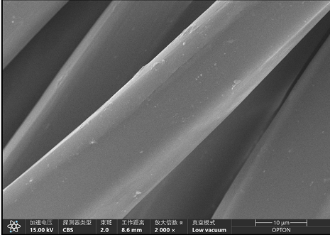 掃描電鏡在不導電滌綸纖維材料中的表征應用